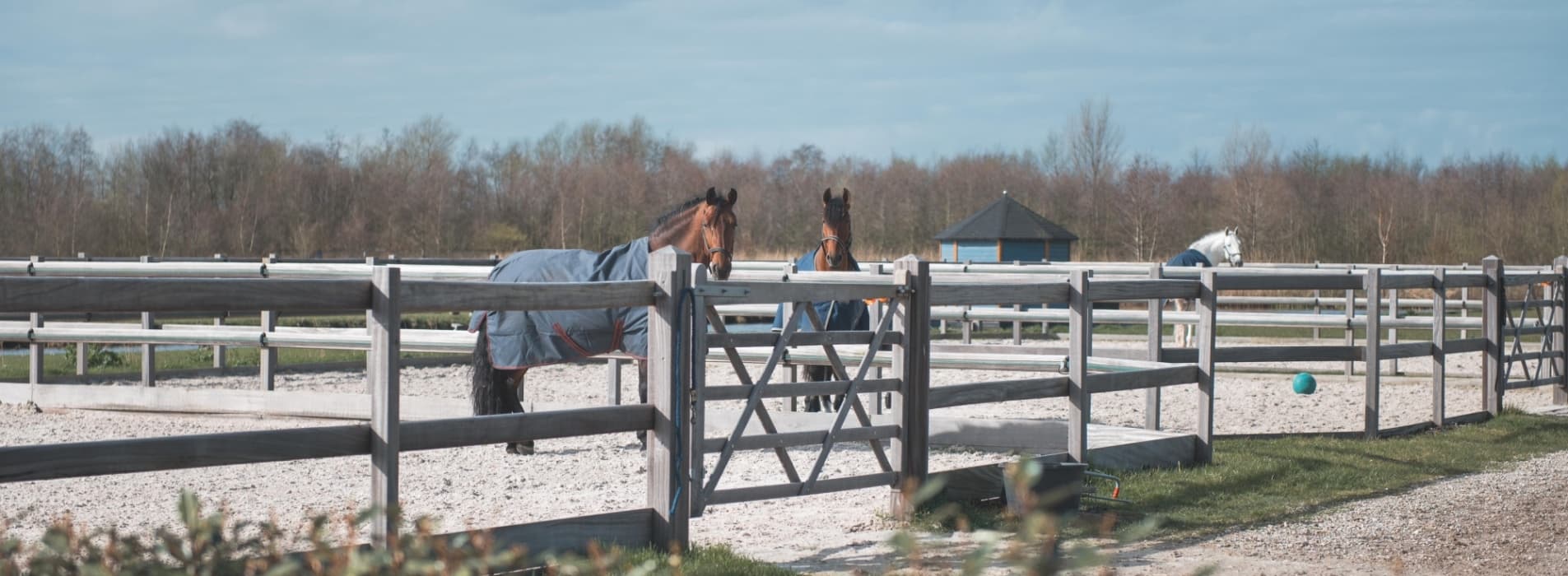 NL Stables blog