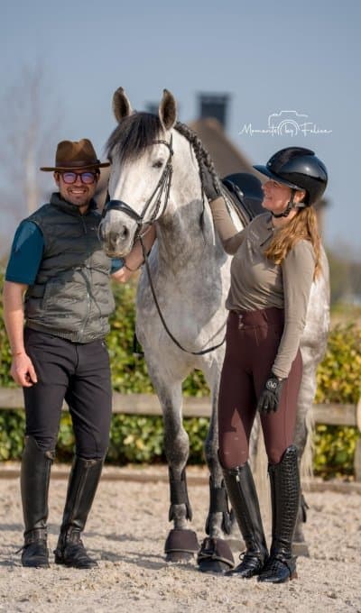 Spanish PRE horse in movement