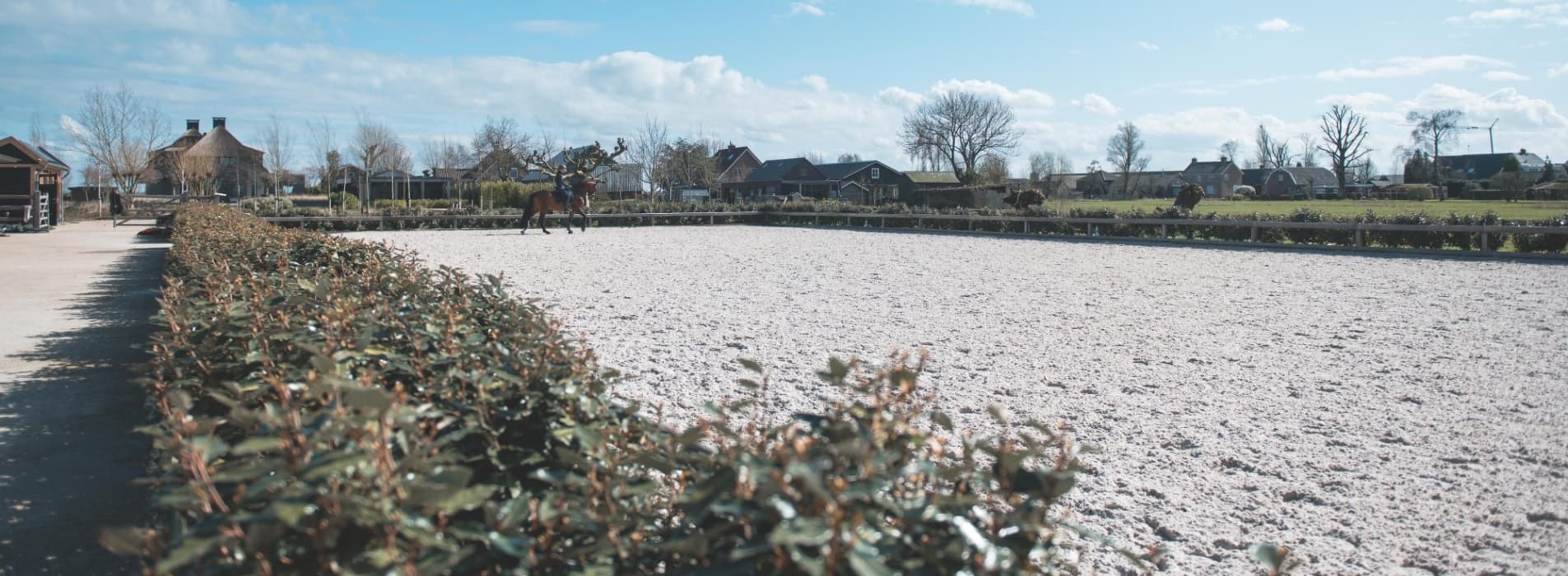 PRE-paard kopen bij NL Stables Vinkeveen