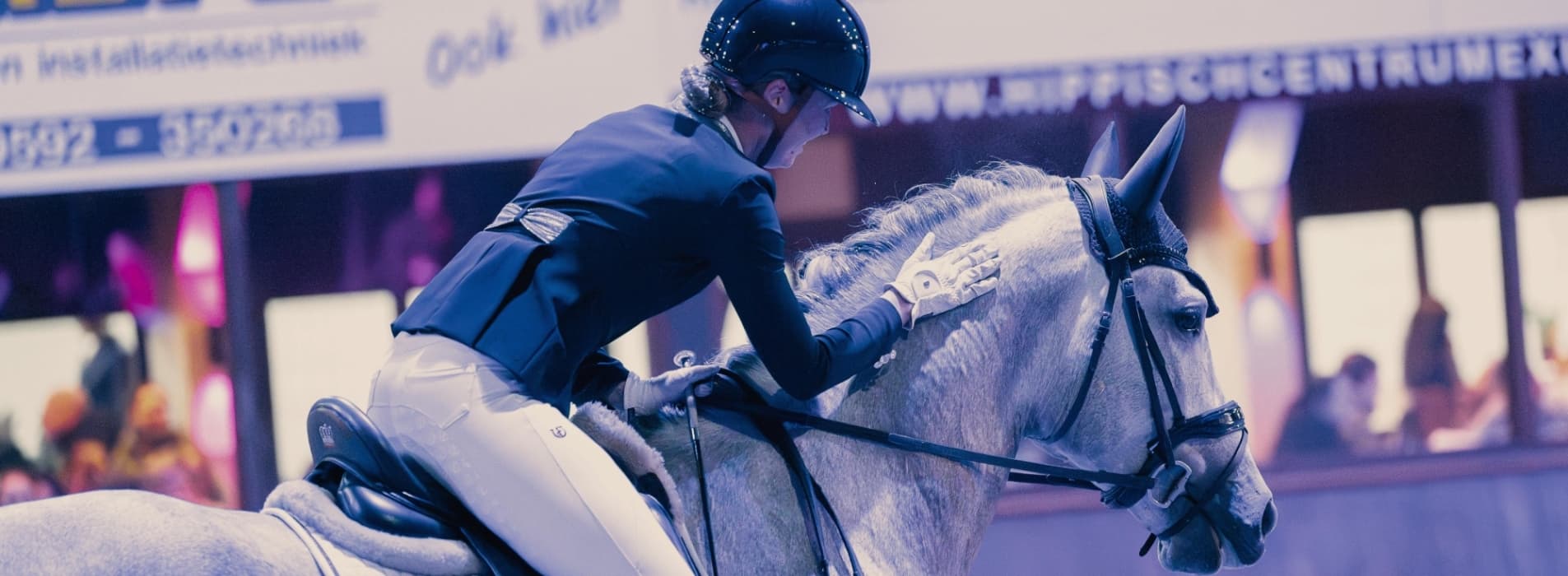 NL Stables veelgestelde vragen